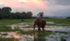 Couple Getaway: 4 Nights In Yala, Kandy And Bentota