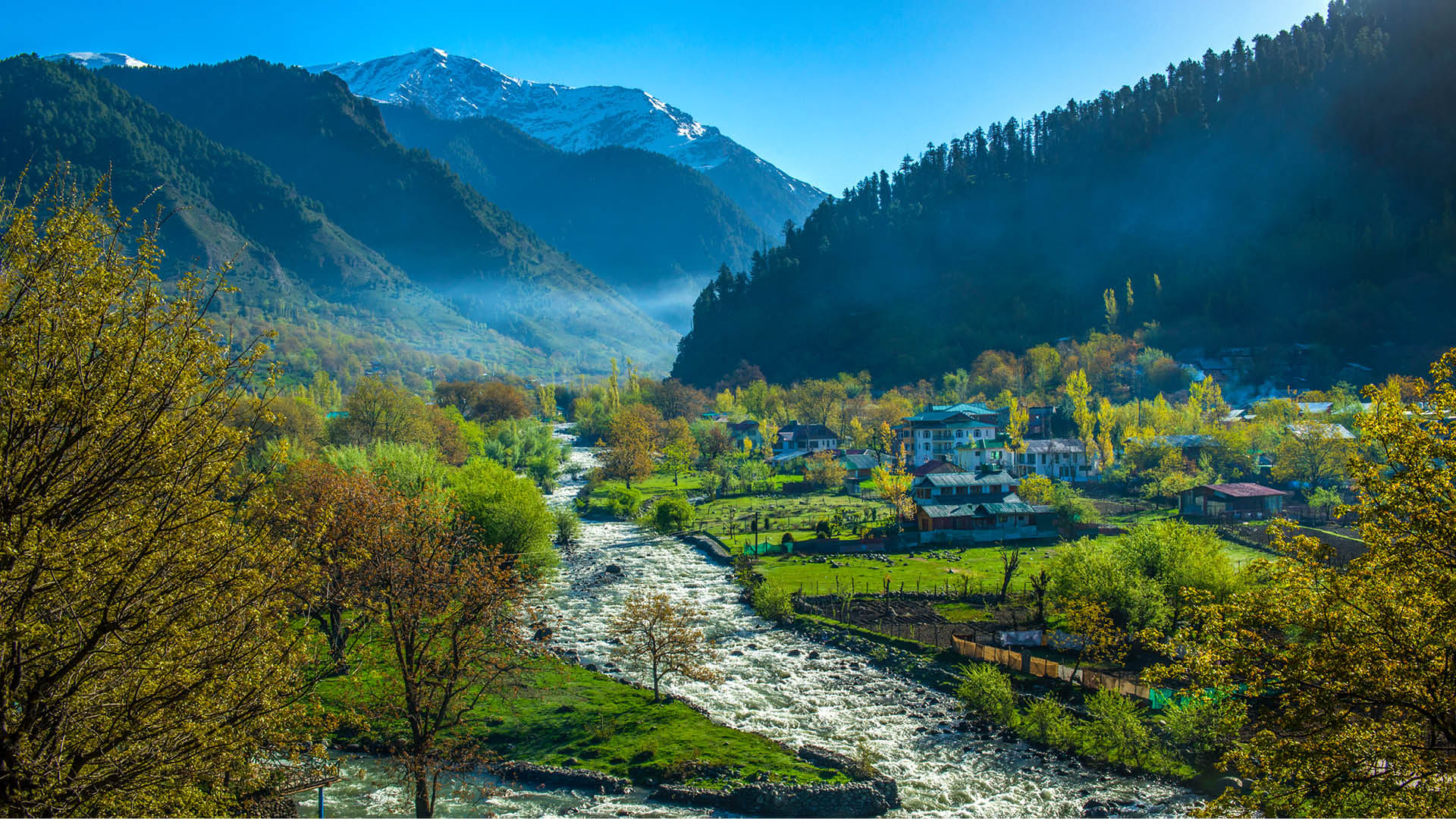 Family Escape: 4 Nights In Srinagar And Pahalgam