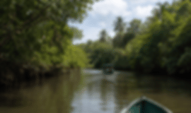 Family Escape: 7 Nights In Yala, Kandy, Nuwara Eliya, Bentota And Colombo