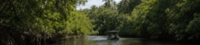 Couple Holiday: 6 Nights In Kandy, Nuwara Eliya And Bentota