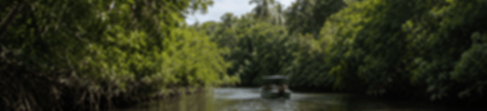 Family Holiday: 6 Nights In Kandy, Nuwara Eliya And Bentota
