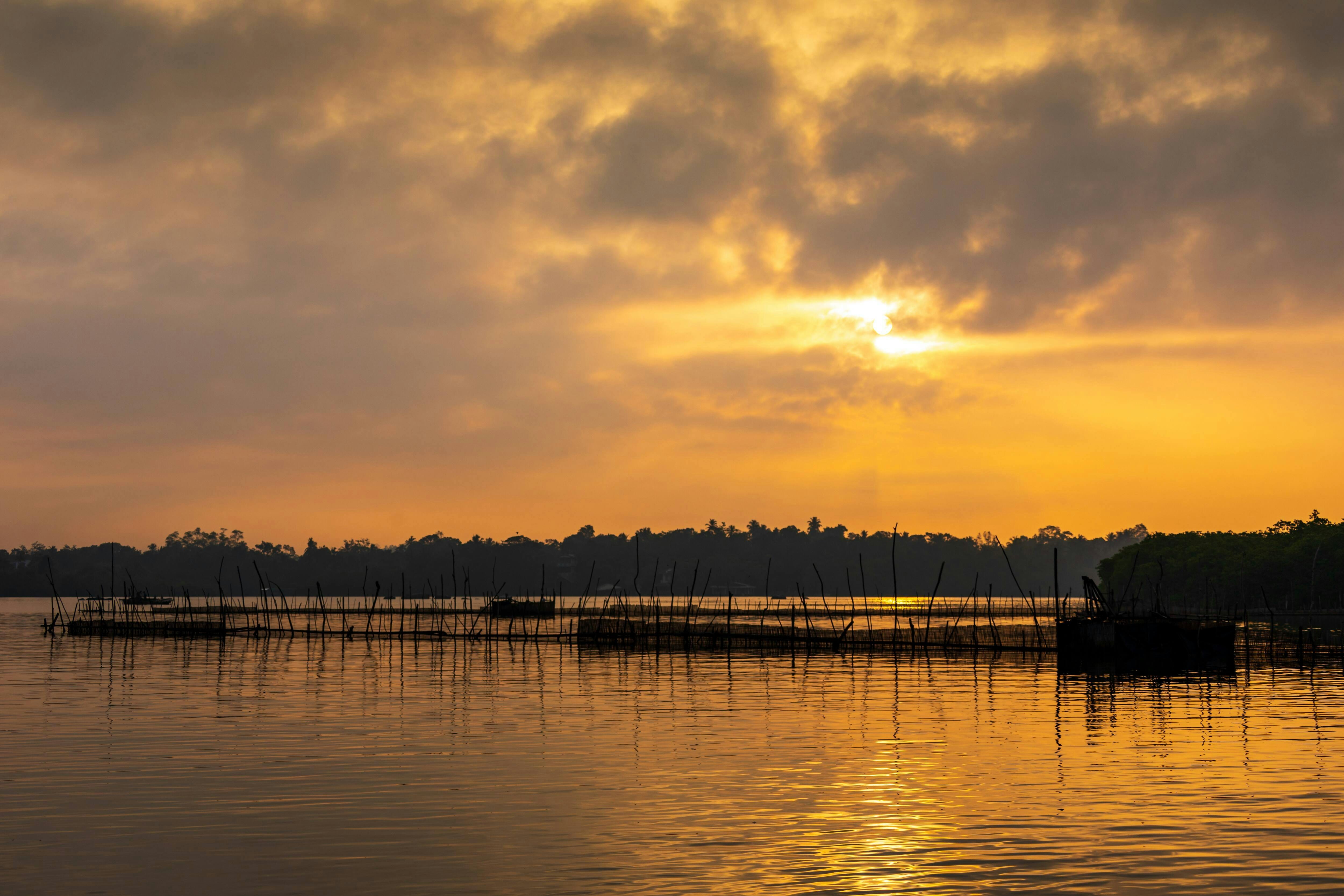 Transfer with Madhu River Ride, Turtle Hatchery and Galle Fort Sunset En-Route