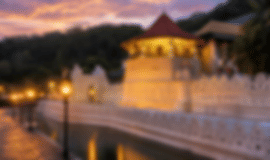 Family Holiday: 6 Nights In Kandy, Nuwara Eliya, Bentota And Colombo