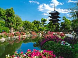 Incredible 10 day trip to Japan for Honeymoon