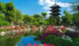 Solo Getaway: 14 Nights In Tokyo, Osaka, Okinawa, Hakone And Kyoto