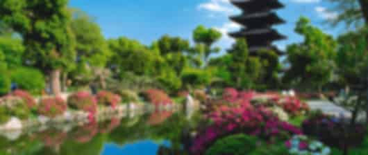 Relive Vijay's Kandaangi 4 Nights Kyoto Itinerary