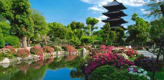Relive Vijay's Kandaangi 4 Nights Kyoto Itinerary-0