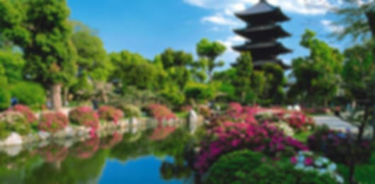 A rejuvenating 10 night Japan itinerary