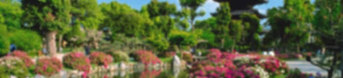 Couple Retreat: 10 Nights In Tokyo, Osaka And Kyoto