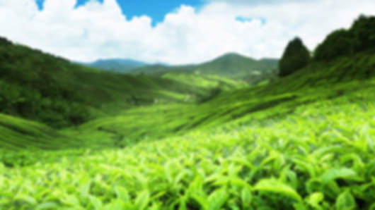 Charming 5 Days Family Tour Package Sri Lanka