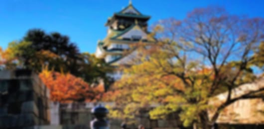 Japan 7 Nights 8 Days Honeymoon Summer Getaway Itinerary