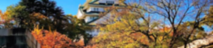 Family Escape: 7 Nights In Tokyo And Osaka