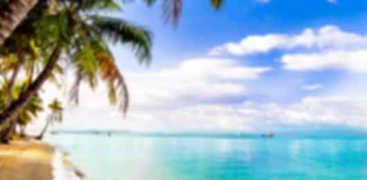 Pearl of Vietnam: A Phu Quoc Island Getaway