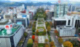 Family Holiday: 9 Nights In Tokyo, Sapporo And Kyoto