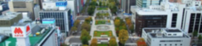 Family Holiday: 9 Nights In Tokyo And Sapporo