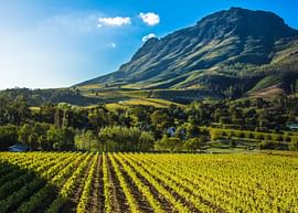 An incredible 6 night South Africa itinerary for unforgettable family vacations