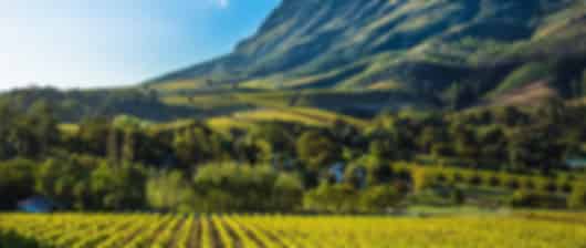 A rejuvenating 6 night South Africa itinerary