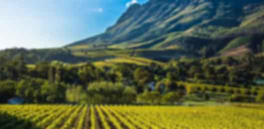 An incredible 6 night South Africa itinerary for unforgettable family vacations