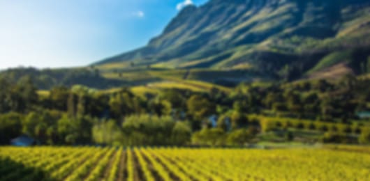 A 13 night South Africa itinerary for family adventures