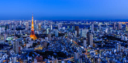 Japan 7 Nights 8 Days Family Cherry Blossom Season Itinerary