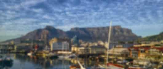 The perfect 6 nights in Johannesburg, Pilanesberg and Cape Town for animal lovers