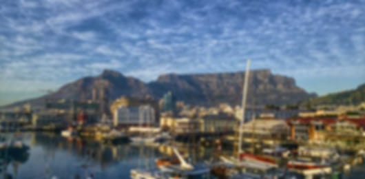 The perfect 6 nights in Johannesburg, Pilanesberg and Cape Town for animal lovers