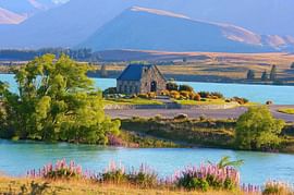 Amazing 7 Days New Zealand Tour Package From Hyderabad