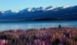 Friends Holiday: 10 Nights In Auckland, Lake Tekapo, Rotorua, Queenstown And Auckland Airport