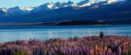 Beauty overloaded : A 14 day New Zealand itinerary