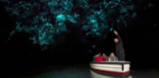 A Perfect Family Holiday Trip To New Zealand From Delhi