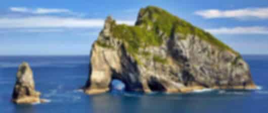 Awesome New Zealand Honeymoon package from India