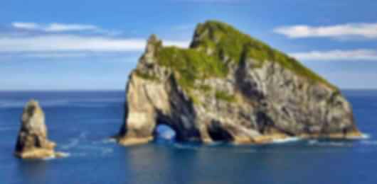 Memorable 10 nights to New Zealand From Hyderabad