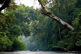 Romantic 6 Nights Malaysia Packages From Hyderabad