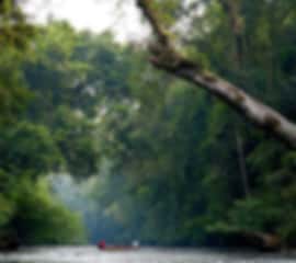 Spectacular 7 Nights Malaysia Honeymoon Package