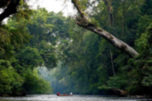 Refreshing 9 Nights Tour Packages From Delhi To Malaysia