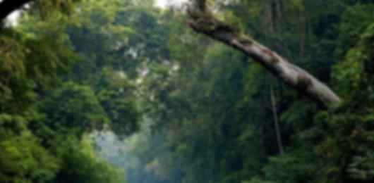 Romantic 6 Nights Malaysia Packages From Hyderabad