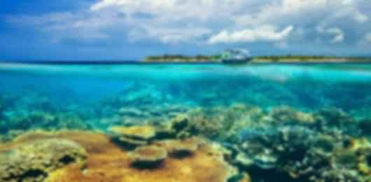 Relaxing 4 Nights Lombok Bali Travel Packages