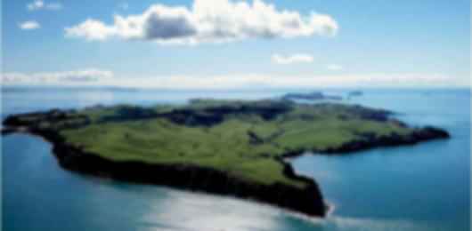 11N/12D Awesome New Zealand Trip From India