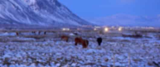 Perfect 3 Nights Iceland Packages from Mumbai
