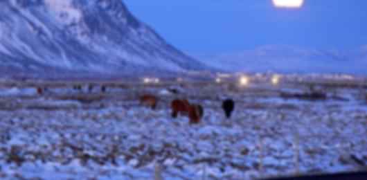 Jubilant 6 Nights Iceland Toure Package from Delhi