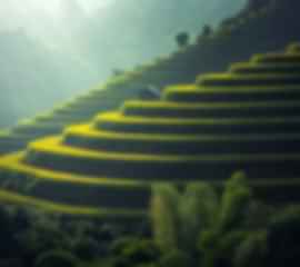 Gorgeous Bali Customized Honeymoon Packages