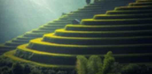 Exotic 8 night Bali itinerary