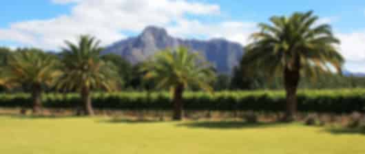 Luxury redefined : 2 weeks South Africa honeymoon itinerary