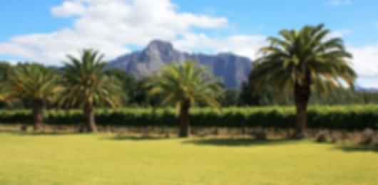 Luxury redefined : 2 weeks South Africa honeymoon itinerary