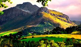 The fabulous 12 night South Africa Honeymoon itinerary