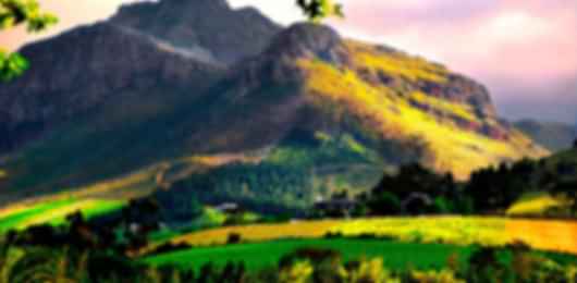 The fabulous 12 night South Africa Honeymoon itinerary
