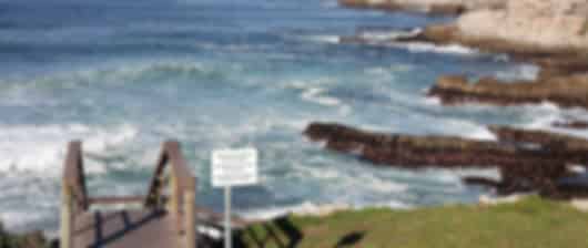 7 day luxury redefined South Africa honeymoon itinerary for nature lovers