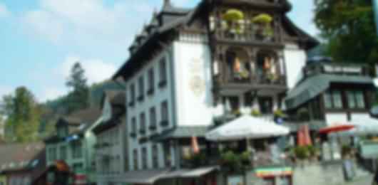 Ideal 7N Germany Tour Package