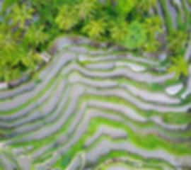 Joyful Hyderabad To Bali Package