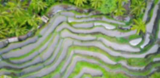 The perfect 10 day Singapore + Bali itinerary for true travellers